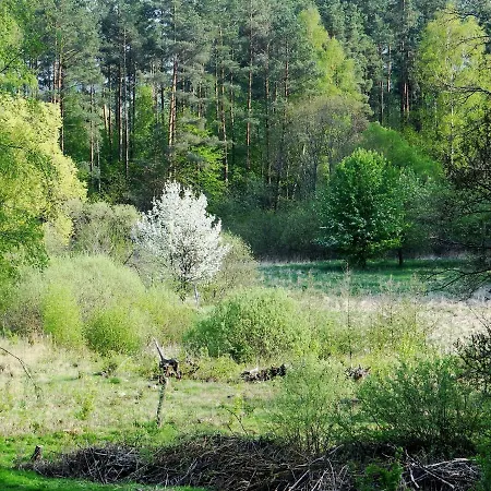 Agroturismo Agroturystyka Biskupiec (Olsztyn)
