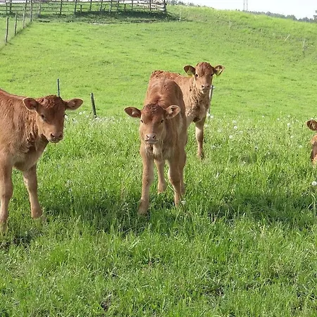 Agroturystyka Agroturismo *